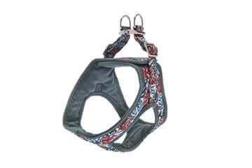 Ferribiella Kami Harness XS 32-39cm Green - مجموعة رباط تحكم وصدرية للكلاب - Zue For Pet Supplies Co.