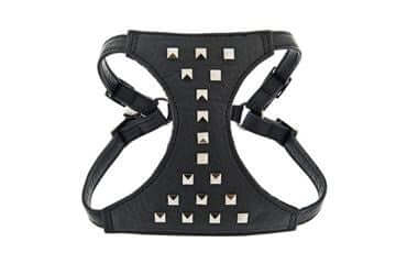 Ferribiella Leather Harness Spike+Leash 120cm XS Black - مجموعة رباط تحكم وصدرية للكلاب - Zue For Pet Supplies Co.