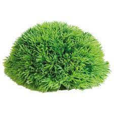 Flamingo Aquarium Half Mossball 12cm, fish accessory with lush green moss ball for freshwater aquariums.