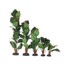 Hugo Green/Red Silk 40cm ( per pc. ) - اكسسوارات الأسماك - Zue For Pet Supplies Co.