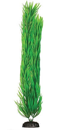 Hugo Pogestemon Green 20cm - ديكور حوض السمك - Zue For Pet Supplies Co.