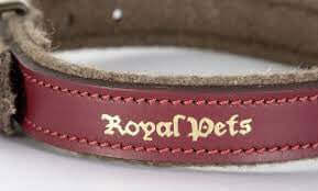 Kerbl Collar Royal Pets 30mmx46-54cm - طوق الكلاب - Zue For Pet Supplies Co.