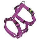 Kerbl Harness Miami Purple 55-76cmx20mm - مجموعة رباط تحكم وصدرية للكلاب - Zue For Pet Supplies Co.
