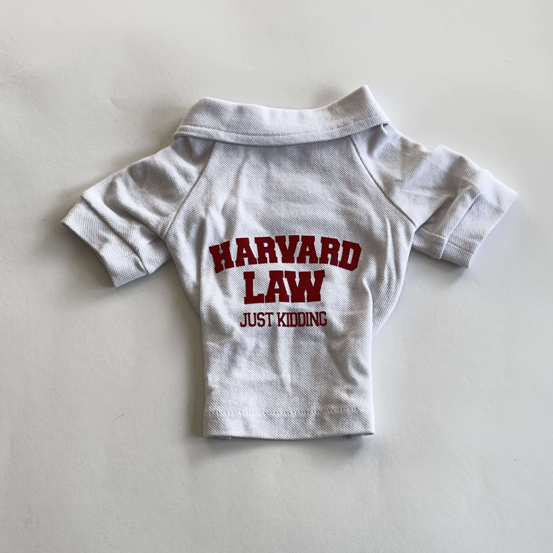 Ziggy Dog Harvard T-shirt for dogs, size Medium, in navy with white text, comfortable apparel for small dogs.