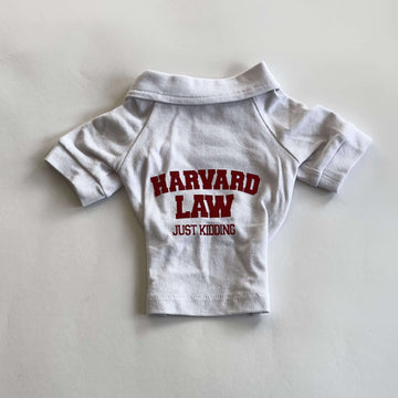 Ziggy Dog Harvard T-shirt for dogs, size Medium, in navy with white text, comfortable apparel for small dogs.