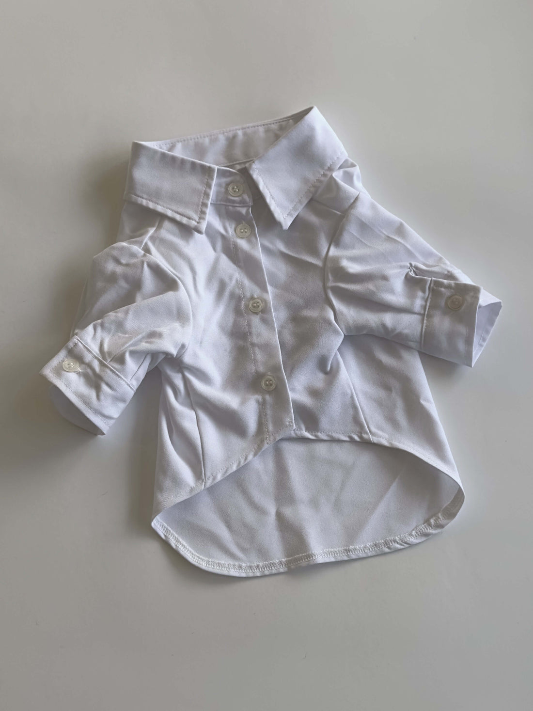 Ziggy Dog Classic White Shirt  - XL - ملابس للحيوانات الأليفة - Zue For Pet Supplies Co.